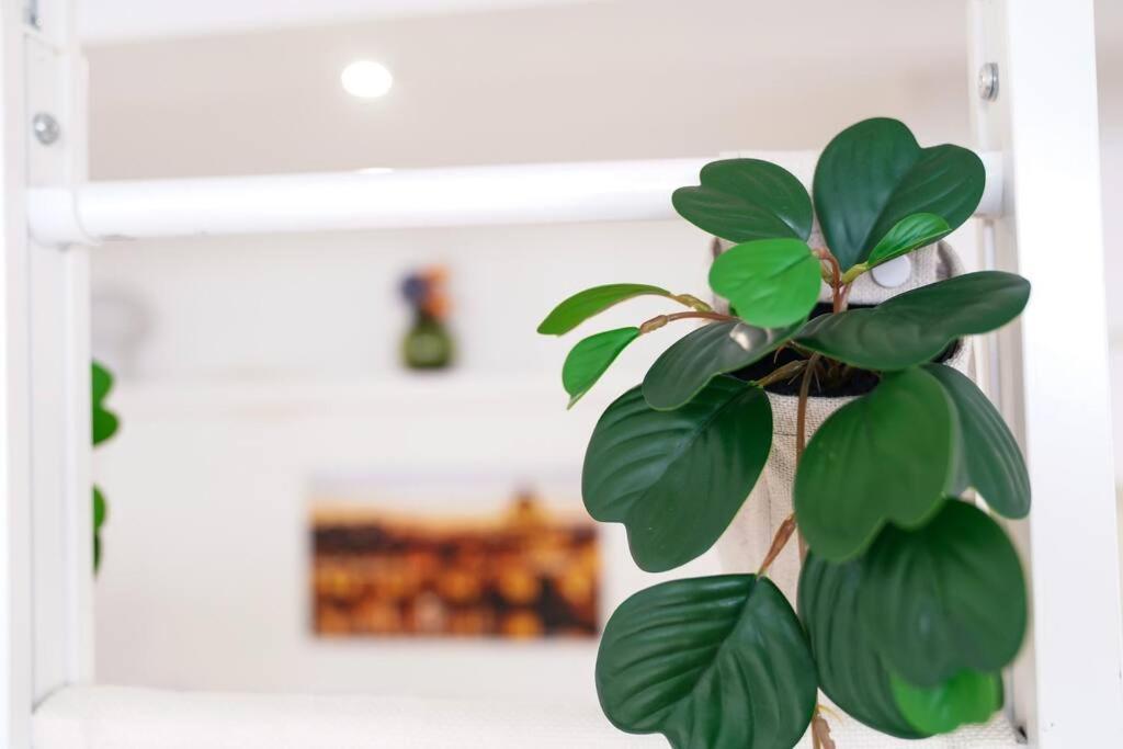 Apartament Babuino Terrace Rzym Zewnętrze zdjęcie
