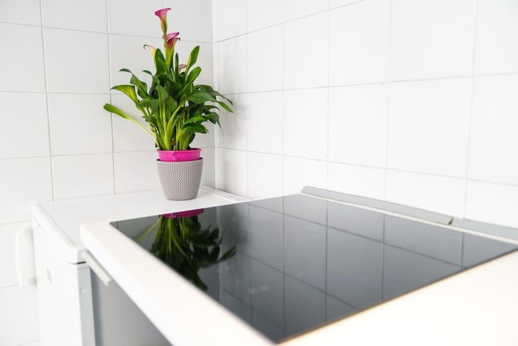Apartament Babuino Terrace Rzym Zewnętrze zdjęcie
